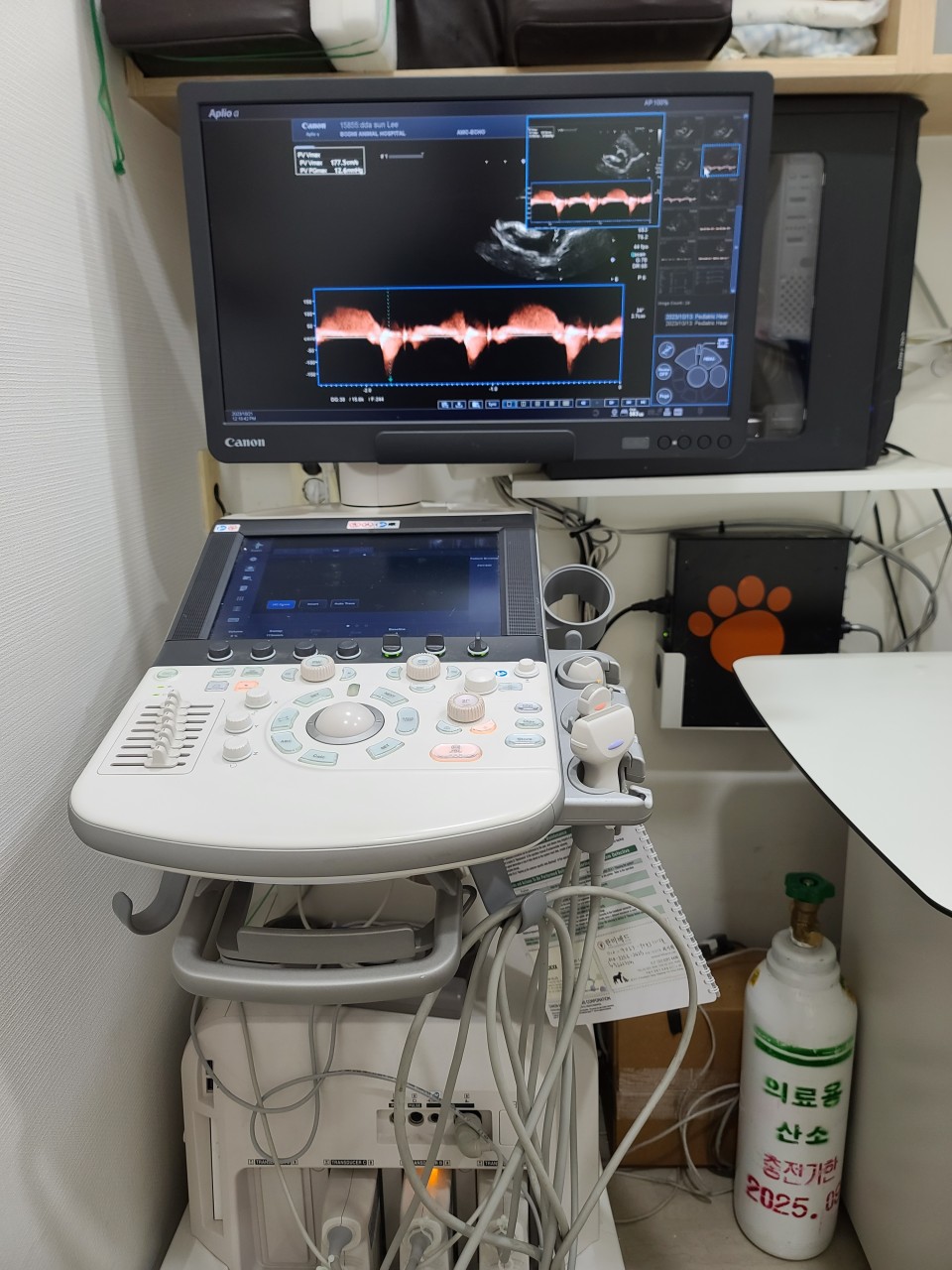 Canon Aplio a 초음파